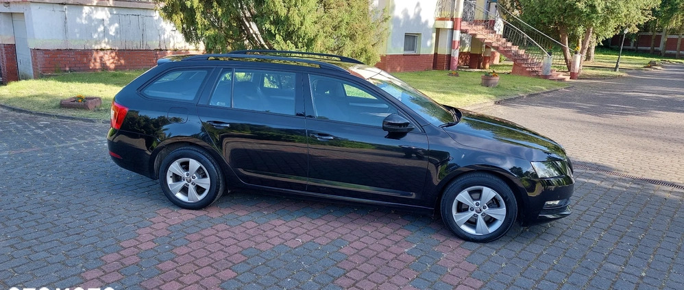 Skoda Octavia cena 44900 przebieg: 183500, rok produkcji 2018 z Sierpc małe 562